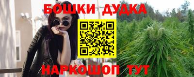 прущие крисы Краснодар