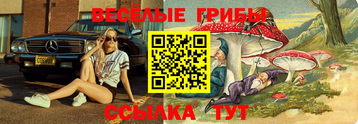 Ухта  Псилоцибиновые грибы GOLDEN TEACHER  магазин продажи наркотиков  Галлюциногенные грибы MAGIC MUSHROOMS  Вход с VPN 